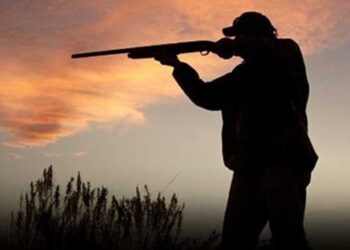 Hayvanları Koruma Günü’nde 230 STK’dan Ortak Çağrı: Avcılık Yasaklansın