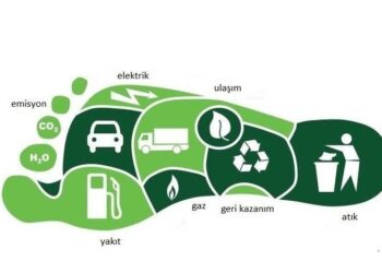 İBB, 1 Milyon Ton Daha Karbon Kredisi Sattı
