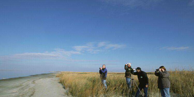 Twitter Dezenformasyona Karşı BirdWatch Özelliği Getiriyor