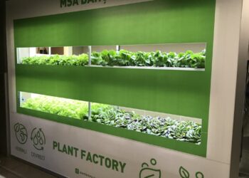 MSA ve Plant Factory Dikey Tarımda Bir İlke İmza Atıyor