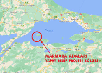 Marmara Adaları Yapay Resif Projesi
