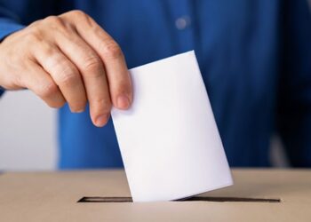 Türkiye’deki Demokrasi Algısı Dünya İle “Benzer”