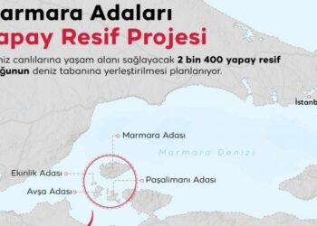 Marmara Adaları Yapay Resif Projesi 2. Faz Çalışmaları Başladı