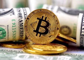 Kripto Para Dolandırıcılığı Son Bir Yılda 8,6 Milyar $’a Mal Oldu