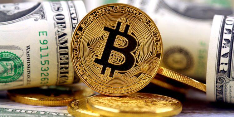 Kripto Para Dolandırıcılığı Son Bir Yılda 8,6 Milyar $’a Mal Oldu