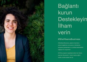 Türkiye’deki Kadınların %30’u Hane Halkı Gelirine Tek Başına Katkı Yapıyor
