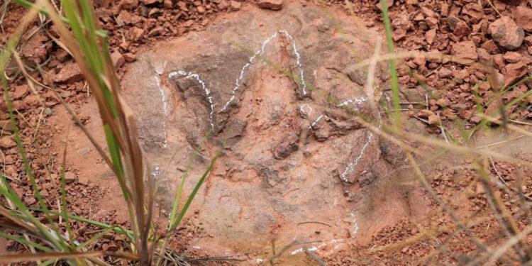Doğu Çin’de 80 milyon yıl Öncesine ait ‘Dinozor Dans Pisti’ Bulundu