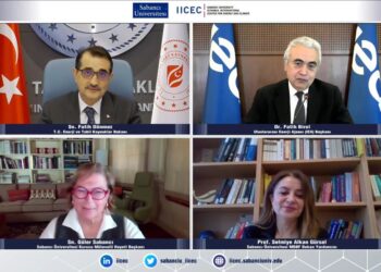 Yenilenebilir Enerji Sanayi Devriminden Bu Yana En Yüksek Payına 2021’de Ulaşacak