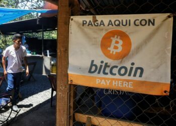Sadece Bitcoin Kullanan Bir Kasaba Deneyi
