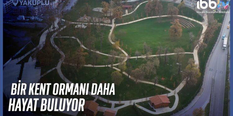 Yakuplu Kent Ormanı Açılıyor