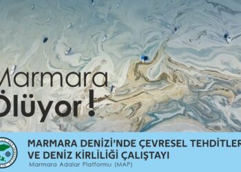 Marmara Denizi’ni Sivil İnisiyatif Kurtaracak