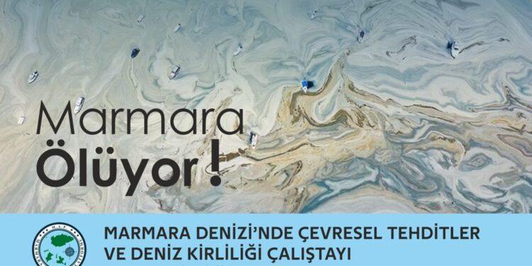 Marmara Denizi’ni Sivil İnisiyatif Kurtaracak