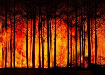 IPCC Uyardı: “İklim Değişikliğini Sınırlandırmak İçin Derhal Harekete Geçilmeli”