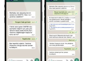 Online Alışverişte Ödemeleri Artık Yapay Zekalı Asistanlar Alıyor