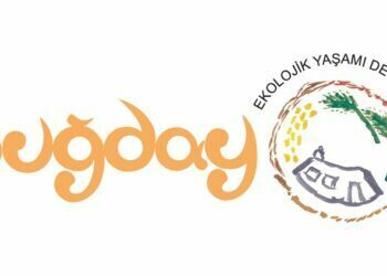 Orman Yangını Mı, Ormansızlaşma Mı?