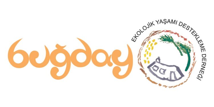 Orman Yangını Mı, Ormansızlaşma Mı?
