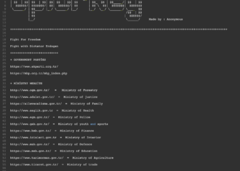 Anonymous, Sosyal Medya Düzenlemeleri Üzerine #OpTurkey İlan Etti