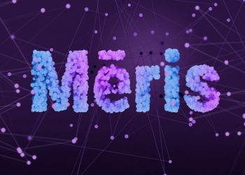 Rus Güvenlik Firması, Meris DDoS Botnetini Çökertti