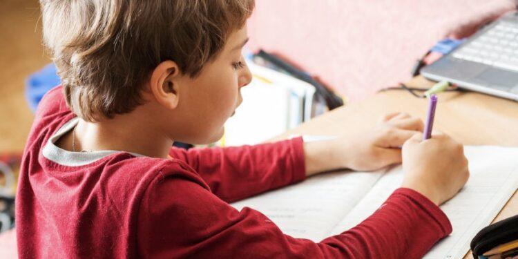 Online Özel Ders Trendi Yükseliyor