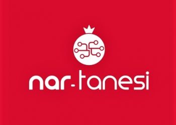 Nar Tanesi Organizasyonu’ndan Uzman Mentor Kadrosu İle Gençlere Kariyer Desteği