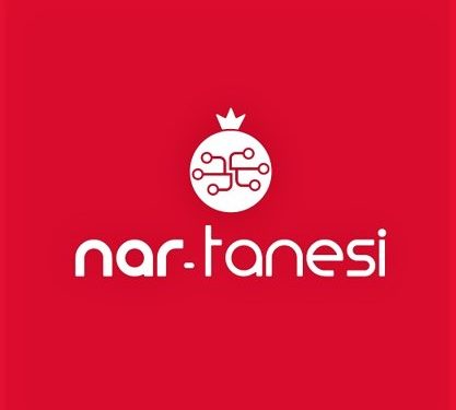 Nar Tanesi Organizasyonu’ndan Uzman Mentor Kadrosu İle Gençlere Kariyer Desteği