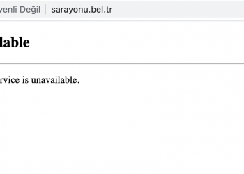 YourAnonSpid3r, Görevlilerin Köpekleri Diri Diri Gömdüğü İddia Edilen Sarayönü Belediyesini Hackledi