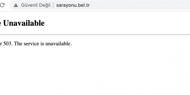 YourAnonSpid3r, Görevlilerin Köpekleri Diri Diri Gömdüğü İddia Edilen Sarayönü Belediyesini Hackledi