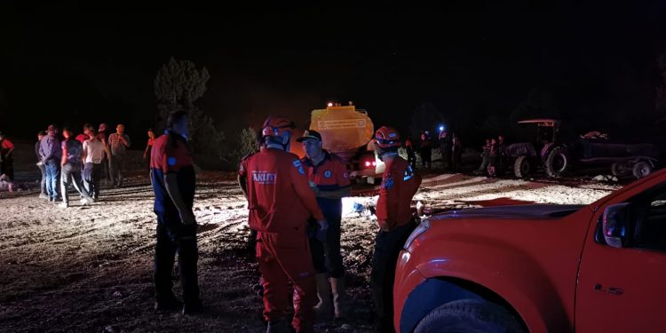 Yanan Ormanlarımız Yeniden Hayata Döndürülüyor