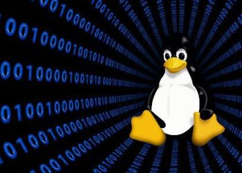 Hackerlar, Linux Cihazlara Gittikçe Daha Fazla Saldırıyor