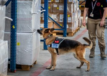 TAV Güvenlik K9 Köpekleriyle COVID-19 Kontrolüne Başlayacak