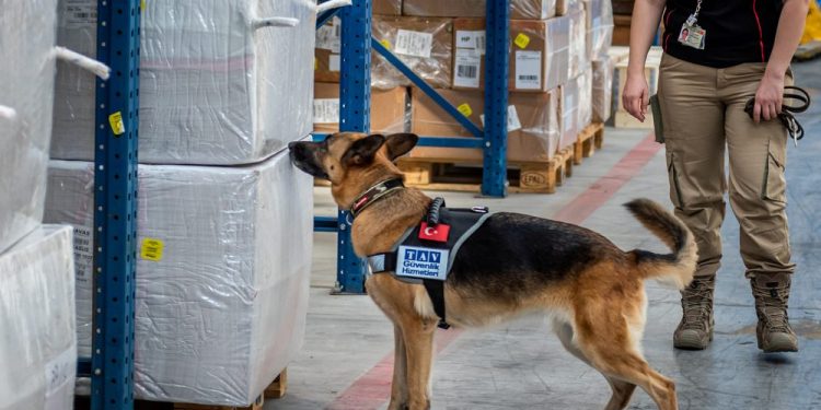 TAV Güvenlik K9 Köpekleriyle COVID-19 Kontrolüne Başlayacak