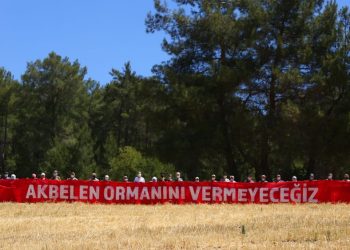 TEMA Vakfı 2021’in Çevre Olaylarını Değerlendirdi