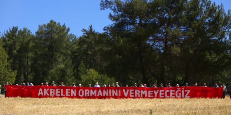 TEMA Vakfı 2021’in Çevre Olaylarını Değerlendirdi