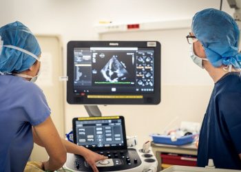 Dassault Systèmes ve Inria’dan Sağlık ve Siber Güvenlik Alanlarında Ortaklık