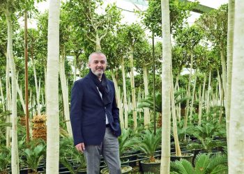 Yeşil Alan Viyana’da 120 İstanbul’da 12.5 Metrekare