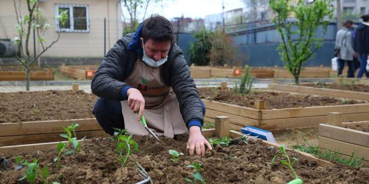 Kadıköy’de Bostanlar Çoğalıyor Şimdi Acıbadem ve Göztepe’de