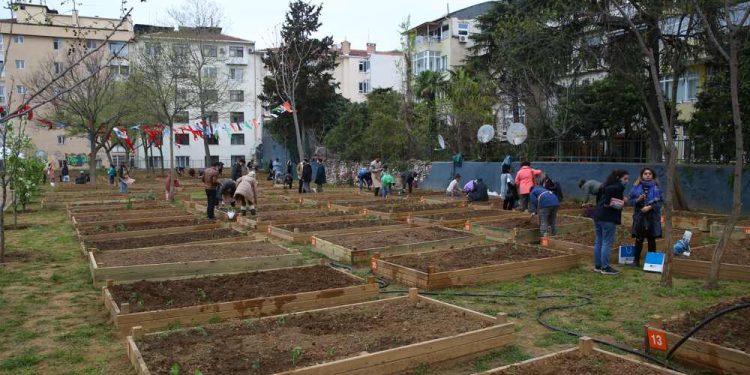 Kadıköy’de Bostanlar Çoğalıyor Şimdi Acıbadem ve Göztepe’de