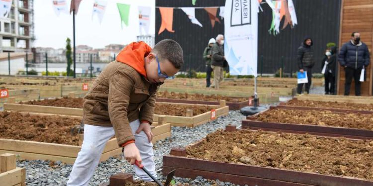 Kadıköy’de Bostanlar Çoğalıyor Şimdi Acıbadem ve Göztepe’de