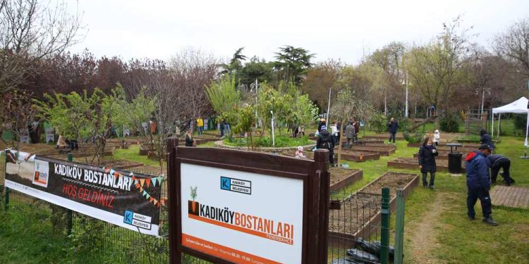 Kadıköy’de Bostanlar Çoğalıyor Şimdi Acıbadem ve Göztepe’de