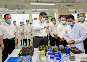 Xi: Sadece Kendi Tohumumuza Sahip Olarak Gıda Güvenliğini Sağlayabiliriz
