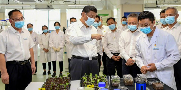 Xi: Sadece Kendi Tohumumuza Sahip Olarak Gıda Güvenliğini Sağlayabiliriz