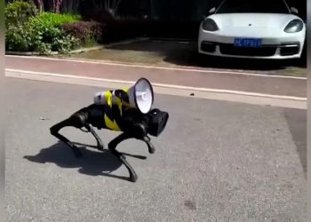 Shanghai Sokaklarında Robot Köpekler, Kovid-19 ile Mücadele Ediyor