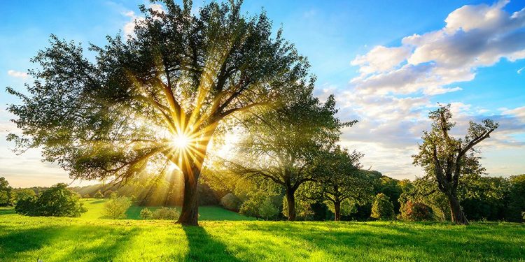 Ekonomik Toparlanmada Temiz Enerjinin Payı Artıyor