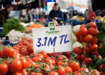 Pazardan, 3,1 Milyon TL Tohum Yatırım Aldı