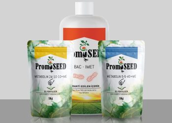 PromoSEED İkinci Fonlamadan da Başarıyla Çıktı