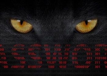 Güvenlik Açığı Olan Sistemlerin Etrafında “Kara Kedi” Dolaşıyor