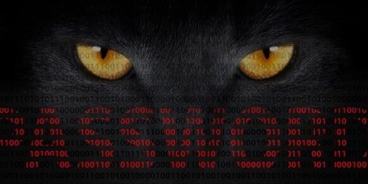 Güvenlik Açığı Olan Sistemlerin Etrafında “Kara Kedi” Dolaşıyor