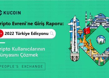Türk Kripto Para Yatırımcıları Neye, Niçin Yatırım Yapıyor?