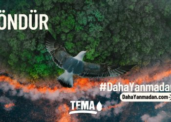 Orman Yangınlarını Önlemek Söndürmekten Daha Kolay