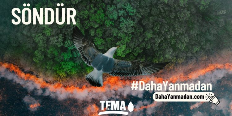 Orman Yangınlarını Önlemek Söndürmekten Daha Kolay